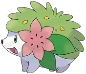 20081128_shaymin