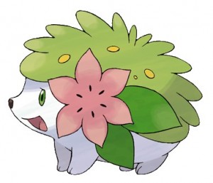 shaymin