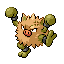 Pokémon Rouge-Feu/Vert-Feuille (de face, shiny)